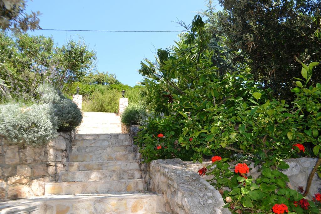 Apartments Villa Hraste Hvar 赫瓦尔 外观 照片