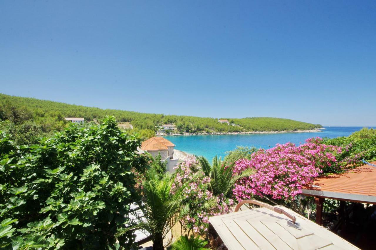 Apartments Villa Hraste Hvar 赫瓦尔 外观 照片